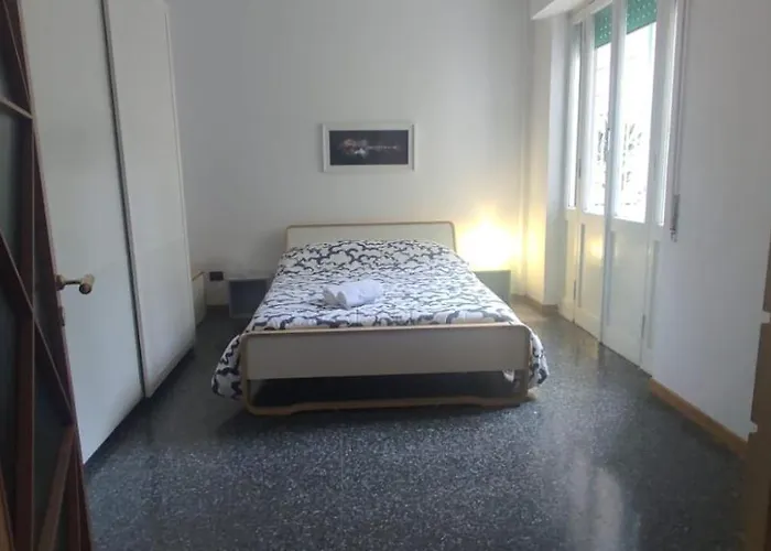 Your Comfy Apartment
